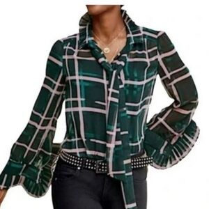 CABI Cake Ruffle Sheer Long Sleeve Button down Blouse